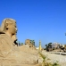 temple_luxor_lux_h_0083_egy3552.jpg